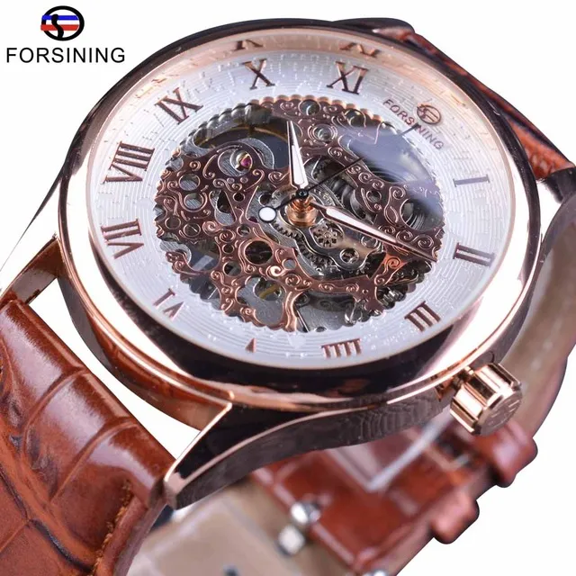 Forsining Retro Klassiek Ontwerp Romeinse Nummerweergave Transparante Kast Mechanisch Skeleton Horloge Heren Horloge Topmerk Luxe Clcok240S