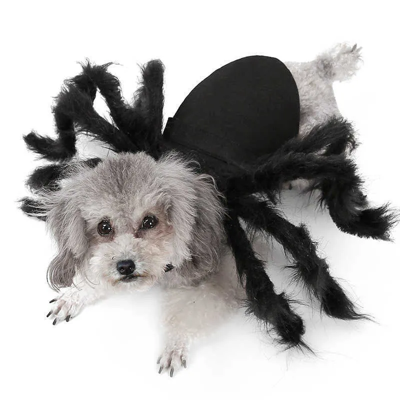 Gato cão halloween aranha animal de estimação vestido up aranha asa roupas para filhotes de cachorro gatos halloween gato cão trajes vestido bonito ccyyf33 211007