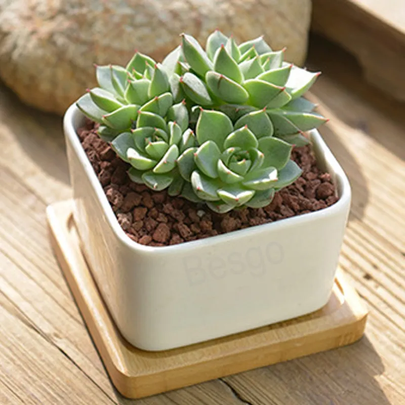 Keramik Square Blommor Krukor Mini Succulenter Blommor Pot Vit Office Desktop Flowerpot Hem Trädgård Tillbehör Skräddarsy logo BH6158 TYJ