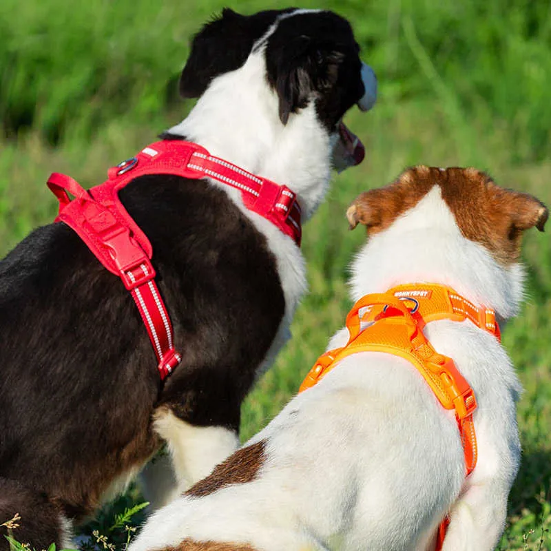 Truelove Pet Dog Harness andas Mesh Polded Outdoor Sport No Pull Vest Justerbar sele för medelstora stora hundtillbehör 210729