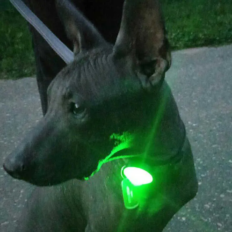 Truelove Pet Safety Flashing Dog Led Light Dog Accessories LED Glowing Pendant Outdoor Night for Collar Harness Pet Products3