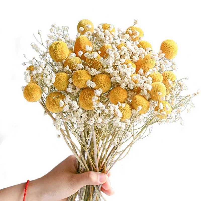 Äkta torkade pampas gräs bröllop blomma gäng naturliga växter heminredning torkade konstgjorda blommor phragmites gyllene boll pompom y0630