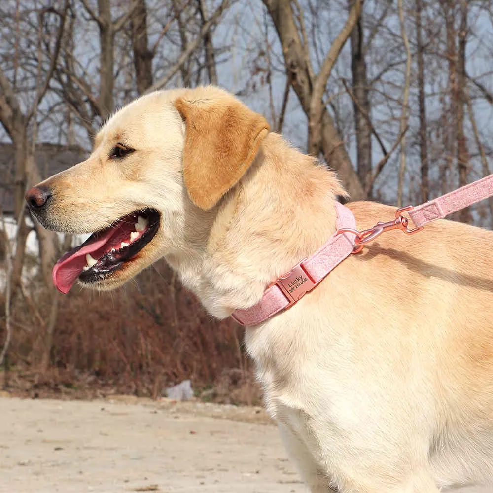 Set personalizzato e guinzaglio con targhetta identificativa animali domestici incisa gratuitamente collare cani di taglia piccola, media e grande