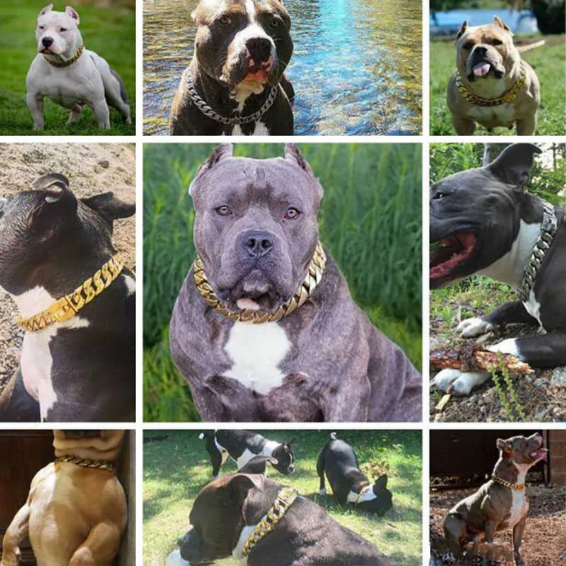Strong Metal Dog Chain Collars Stainless Steel Pet Training Choke Collar For Large Dogs Pitbull Bulldog Silver Gold Show Collar X0713