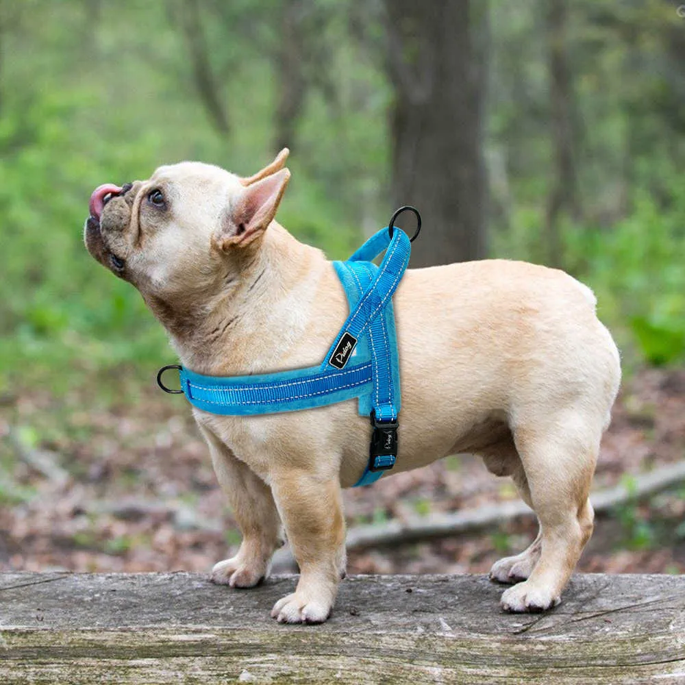 Harnais réfléchissants en nylon pour chien de compagnie Gilet rembourré en flanelle douce Harnais sans sangle de traction pour la formation à la marche Petits moyens grands chiens 210729