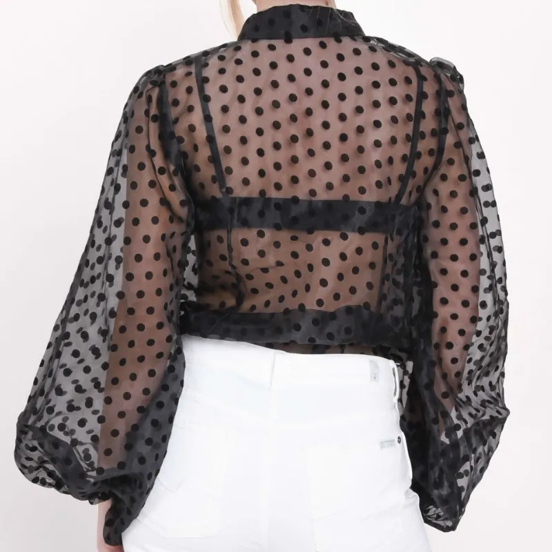 Vrouwen Sexy Sheer Polka Dot Organza Blouse Top Bladerdeeg met lange mouwen 2019 Nieuwe Collectie X0521