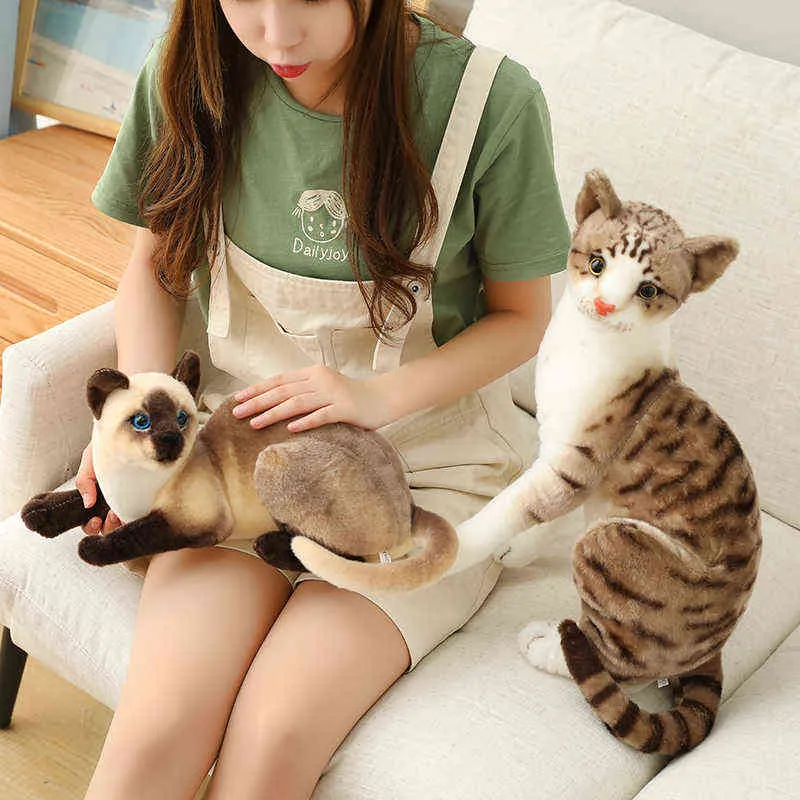 20-45cm Super Lovely pet Cats Office Lunch Break Nap Sleeping Pillow Soft Stuffed Gift Doll for Kids Y211119
