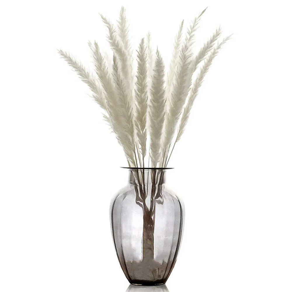 Natural Dried Flowers Lagurus Ovatus Rabbit BunnyTail Grass Bunch Real Flower Bouquet Pampas Grass for Home Wedding Decoration Y0728