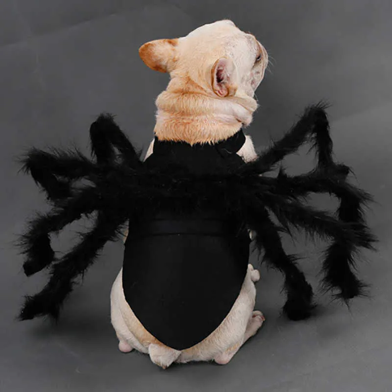 Katze Hund Halloween Spinne Haustier Dress Up Spinnenflügel Kleidung für Welpen Katzen Halloween Haustier Katze Hund Kostüme Süßes Kleid CCYYF33 211007