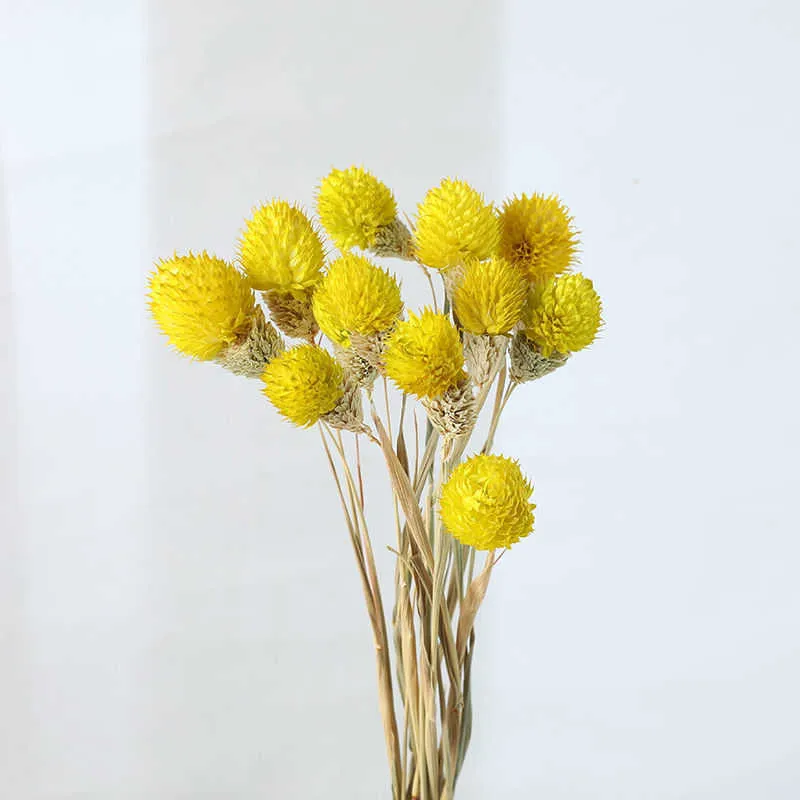 Mała truskawka owocowa trawa naturalne suche kwiaty DIY handmade rękodzieło sztuczne kwiat dekoracji domu rekwizyty Y0630