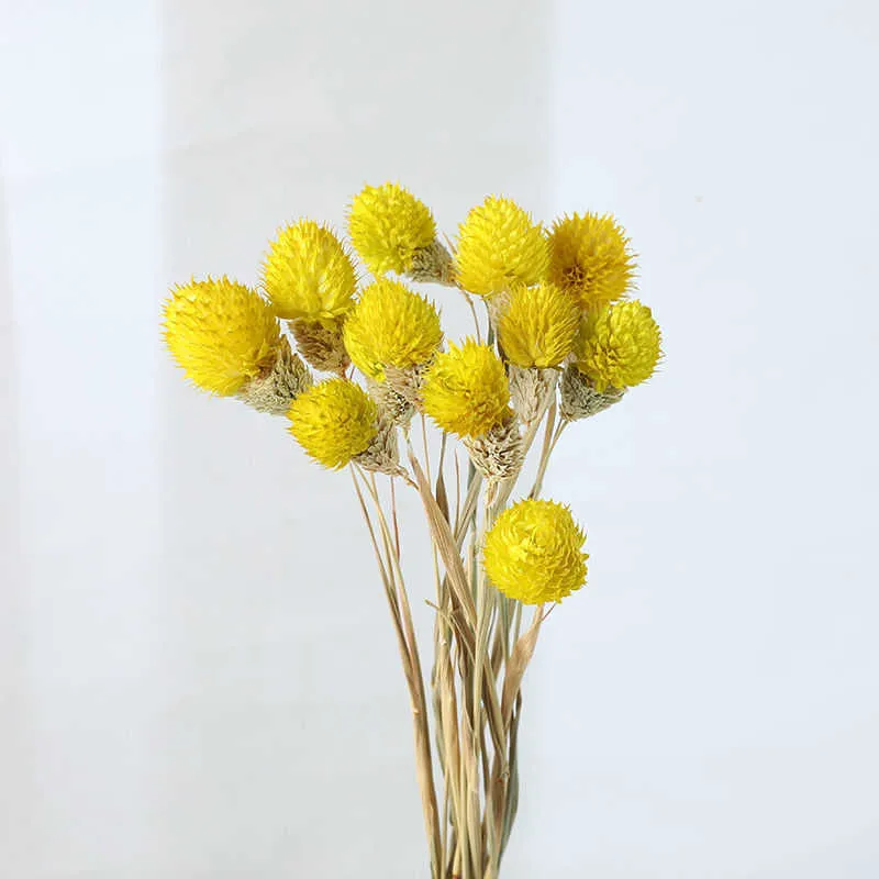 Piccola fragola frutta erba fiori secchi naturali fai da te fatto a mano artigianato fiore artificiale decorazione della casa fotografia puntelli Y0630