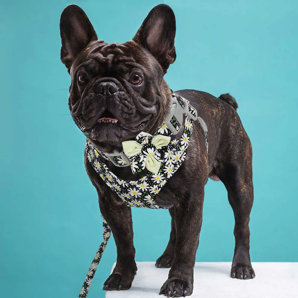 Guinzaglio e collare bulldog francese Set stampato No Pull Dog Harness Vest Collare guinzaglio cani di taglia piccola e media 211006
