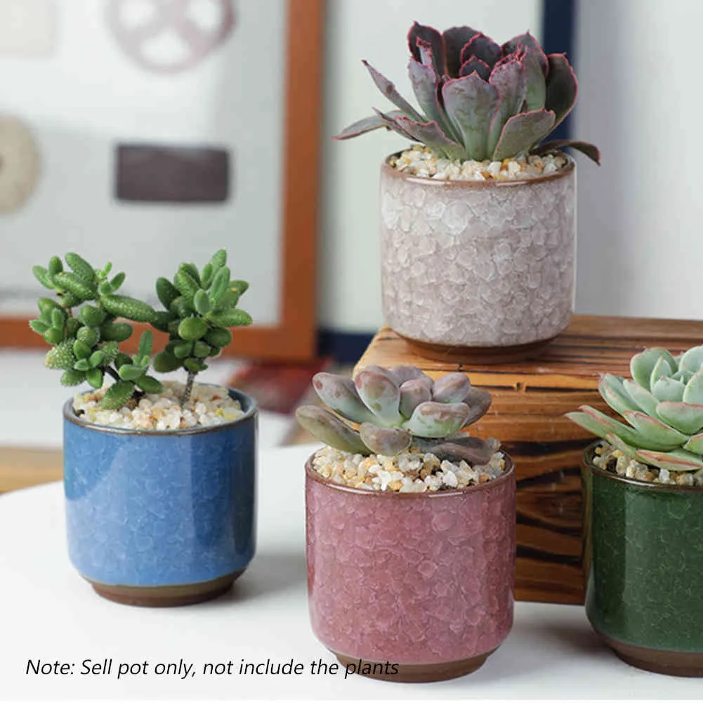 6 pièces Pots de fleurs en céramique plantes juteuses Pot de fleurs bonsaï Cacuts Pot maison jardin décor Mini plantes succulentes Pots usine directe Y0314860436