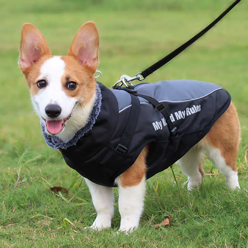 Duża kurtka psa Futro odblaskowe zimowe ubrania dla zwierząt wodoodporny duży / średnia / średnia płaszcz pies z wymiennym ciepłym sprzętu szczeniaka Outfit 211007