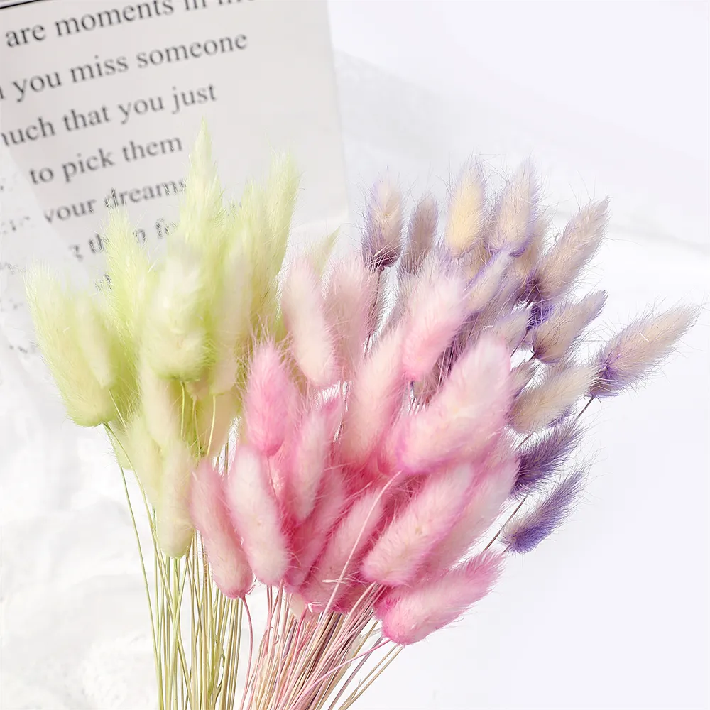 Natürliche Rosa Bunny Tails Gras Getrocknete Kaninchen Gras Blumen Blumenstrauß Für Innen Dekoration Zubehör Fotografie Requisiten