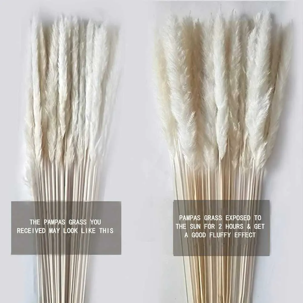 Natural Real Pampas Grass Table Dried Flowers Decor Boho Artificial Plants Mariage Home Decoration Wedding Christmas Accessories 211015