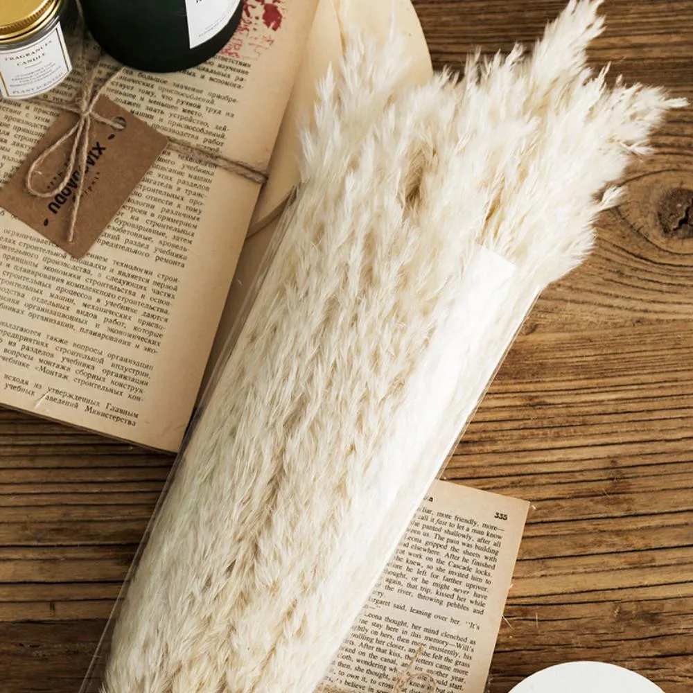 Pampas Grass Decor White Color Fluffy Natural Dried Flowers Bleached Bouquet Boho Vintage Style for Wedding Home Christmas Decor305B