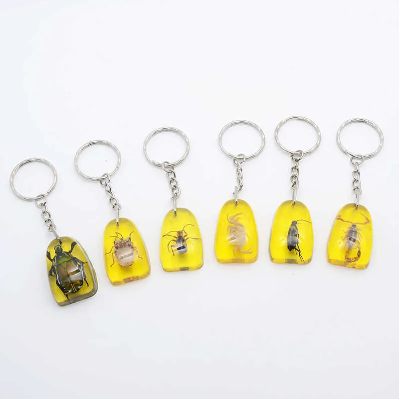 set سلسلة مفتاح العقرب الحقيقية منتج جديد مضيئة السلطعون الحقيقي و Scorpion Keychain Bag Bag Ring G10191851020