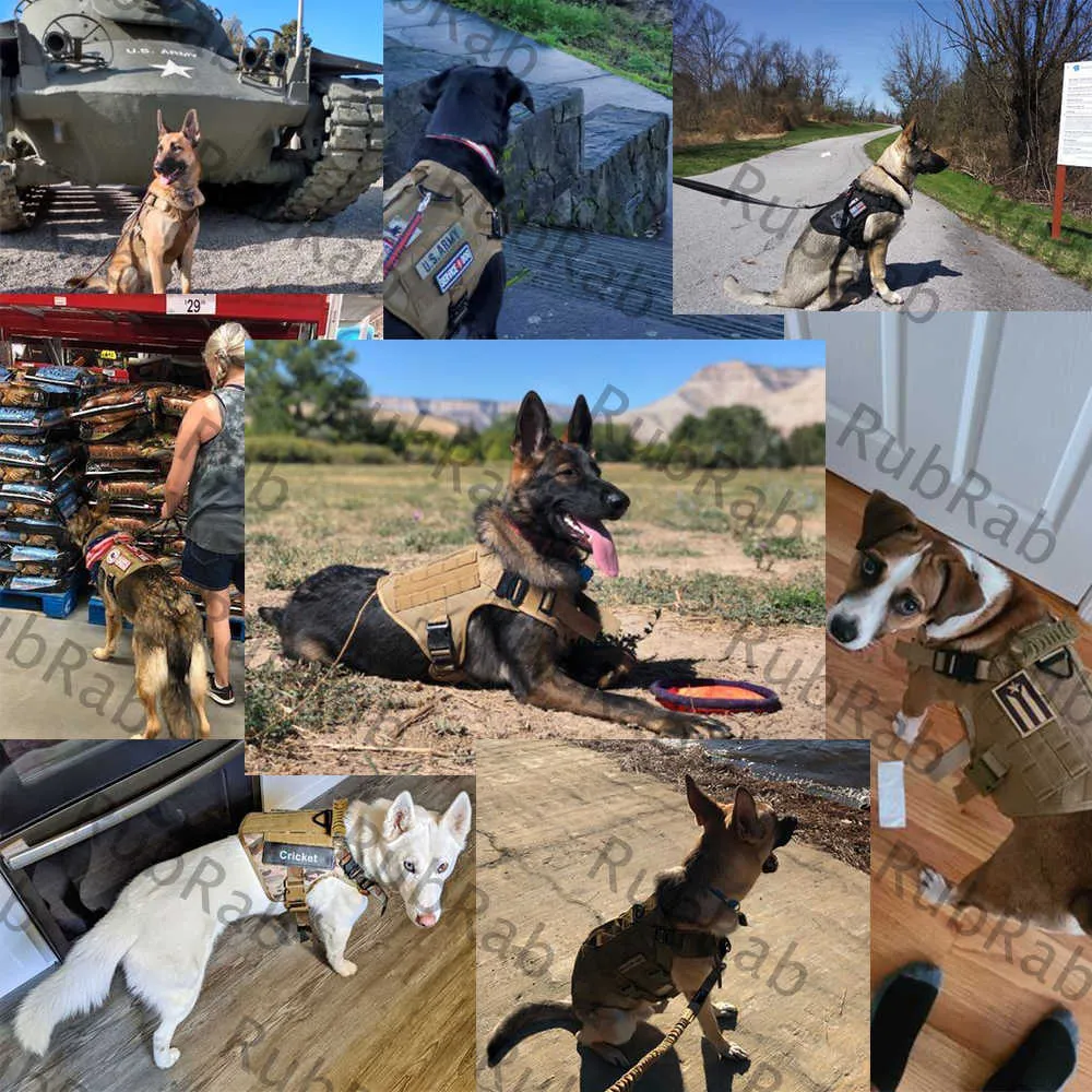 Tactical Dog Harness Vest Militär Arbetsträning Molle Metal Buckles Shepherd Labrador Hållbart husdjur 2108045258538