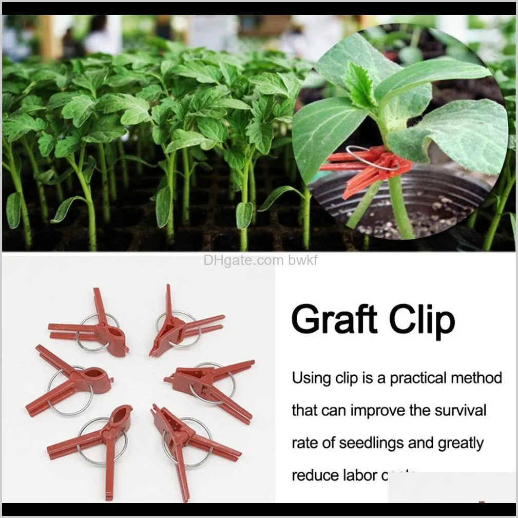 100pcs plant grafting clip plastic gardening tool for cucumber eggplant watermelon, round mouth flat mouth anti-fall clamp