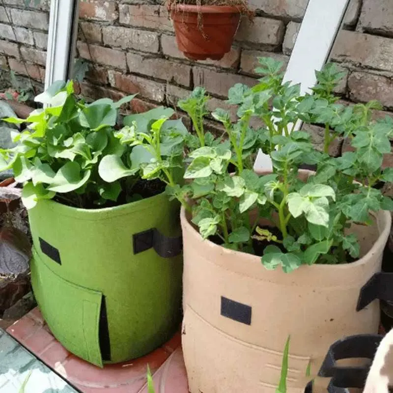 Borsa la coltivazione delle piante Verdura Pomodoro Patate Sacchetti piantare Serra Giardino domestico Fiore Fragola Funghi Semi Fioriera Strumenti 210615