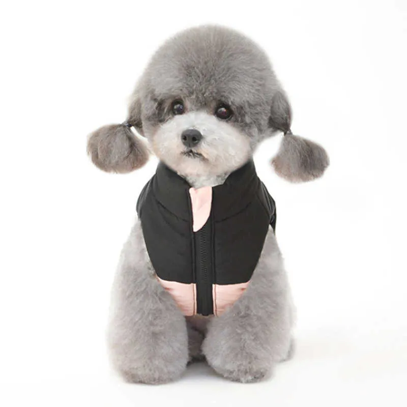 Pet Coat Małe Pies Zimowy Płaszcz Odzież Odzież Odzieżowa Kurtka Puppy Outfit Odzież Yorkie Pomorskie Maltańskie Pudel Cat Dog Odzież 211007
