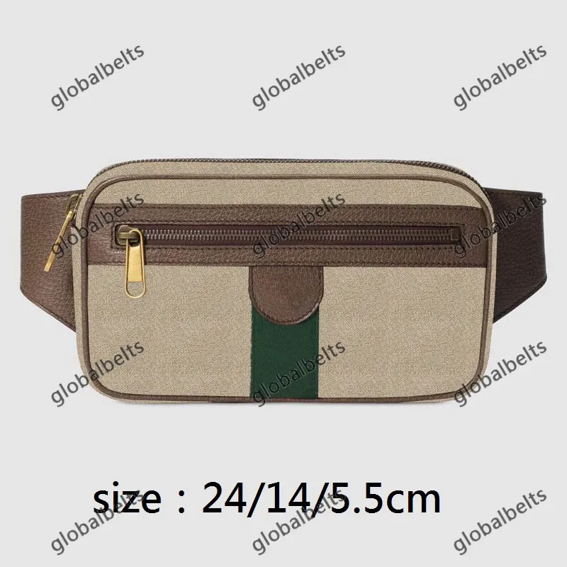 BASS BASSA GUASCIONE FANNYPACK WASTBAGS BINTBAG BUMBAG MENS LARMA ASSERITÀ CHE SECIALE DI STRADA MASSIONE PRINCIPALE CLASSE CLASSE COLORALE WOME269W