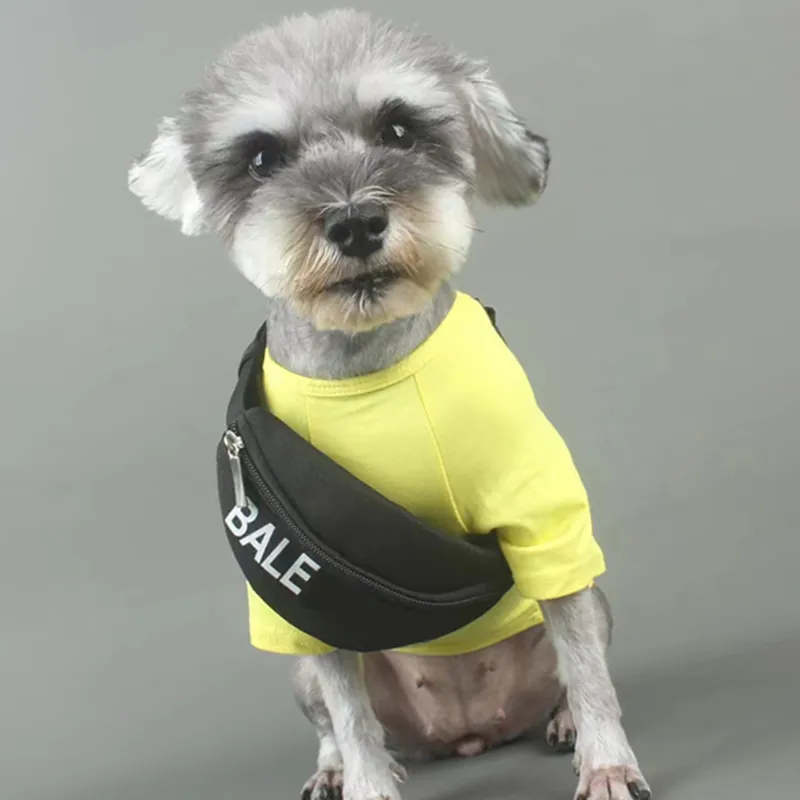 فاخر الكلب Cat Satchel Assele مع Satchels Luxurys المصممين Pet Supply Fashion Pack for Dog Haulage Rope D2110296Z295Q