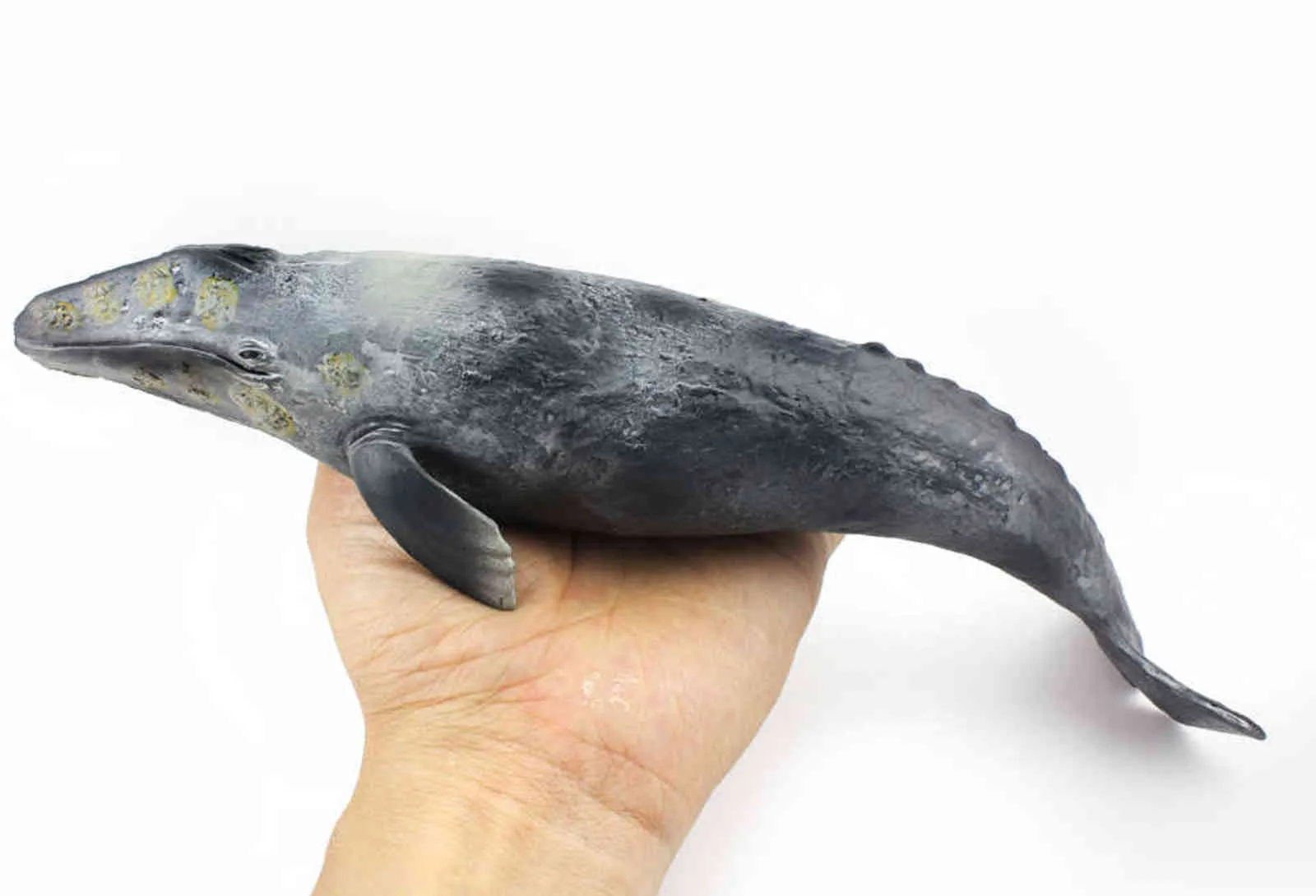 Tomy 30cm simulatie Mariene wezens walvismodel Plerm Whale grijze walvis PVC Figuur Model Toys X11068150254