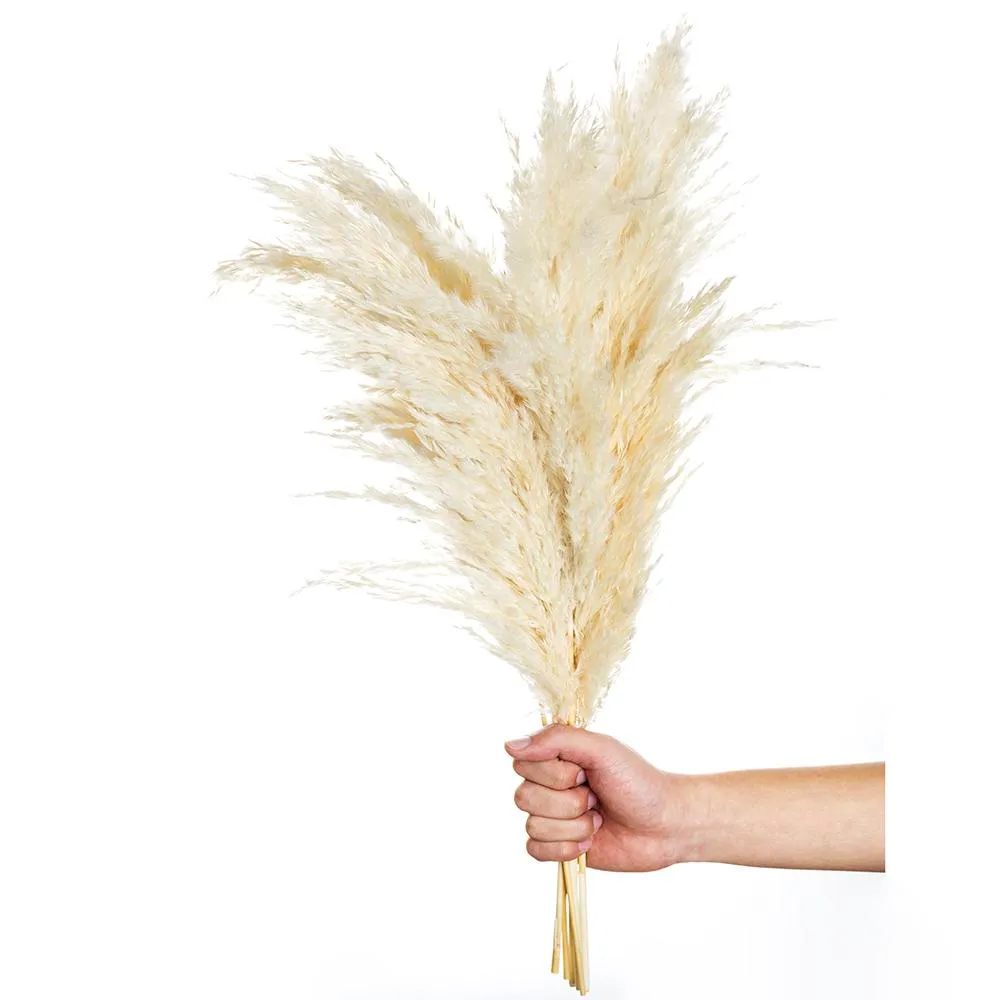 Pampas Grass Decor White Color Fluffy Natural Dried Flowers Bleached Bouquet Boho Vintage Style for Wedding Home Christmas Decor305B