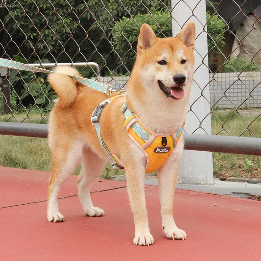 Arnés para perros Chaleco reflectante sin tirones Mascota transpirable ajustable para entrenamiento para correr al aire libre pequeño y grande 211022