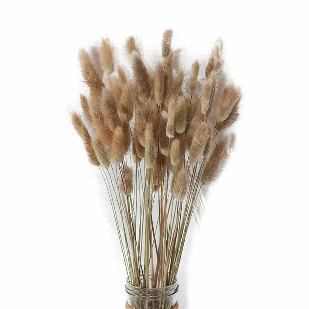 Natural Dried Flowers Lagurus Ovatus Rabbit BunnyTail Grass Bunch Real Flower Bouquet Pampas Grass for Home Wedding Decoration Y0728