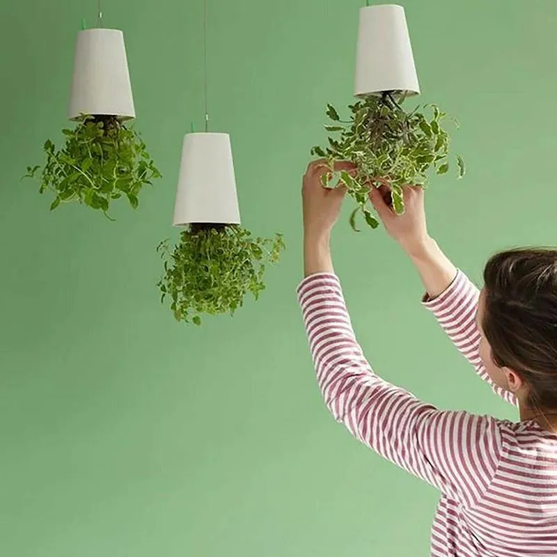 New Sky Garden Kreativer Luftblumentopf aus Kunststoff zum Aufhängen von Orchideen auf dem Kopf, kleiner umgekehrter Übertopf