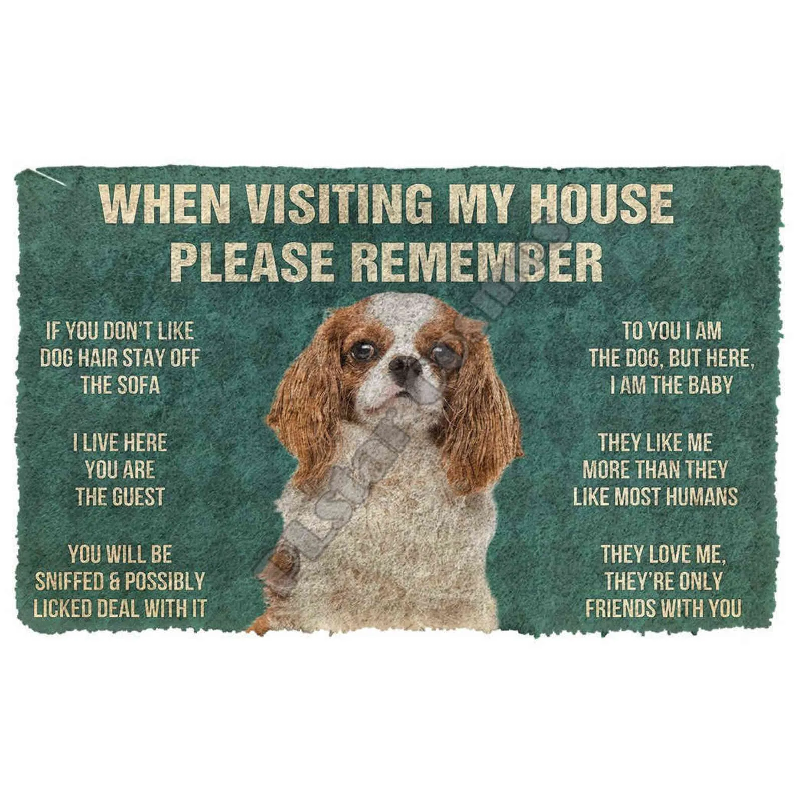 3D Please Remember Cavalier King Charles Spaniel Hundehaus-Fußmatte für den Innenbereich, rutschfeste Tür-Bodenmatten, Dekor, Veranda 211124