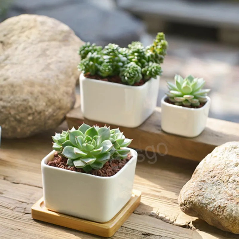 Keramiek Vierkant Bloemen Potten Mini Succulents Bloemen Pot White Office Desktop Bloempot Huis Tuin Accessoires Aangepast Logo BH6158 TYJ