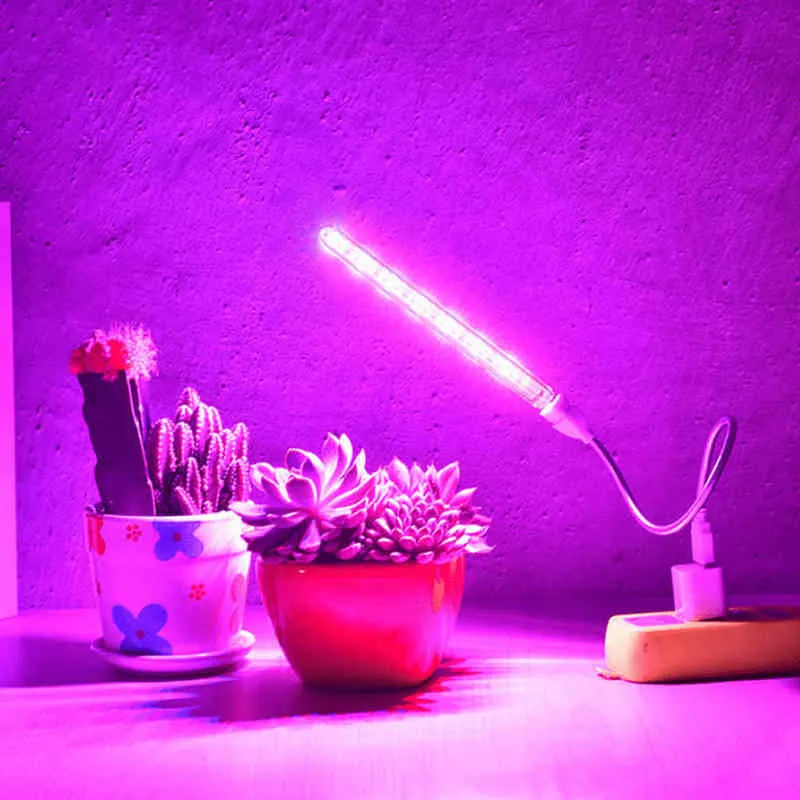 5V LED GROW LIGHT USB Phyto Lamp Full Spectrum Fitolampy IR UV Röd Blå För Växter Fröplantor Blomma Inomhus Fitolamp Växt Box W220312