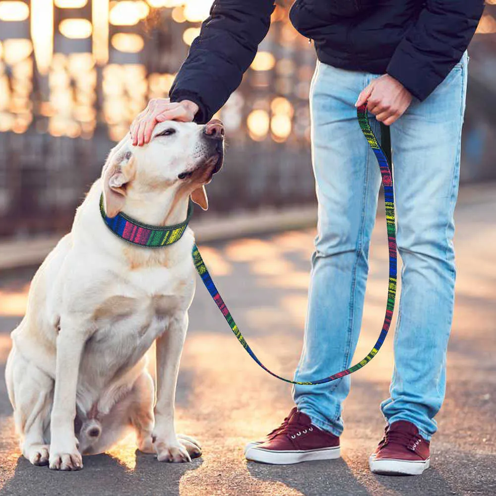 Weiches Nylon-Hundehalsband und Leine-Set, reflektierend, gepolstert, modisch bedruckt, verstellbare Haustiere für mittelgroße und große Hunde 210911