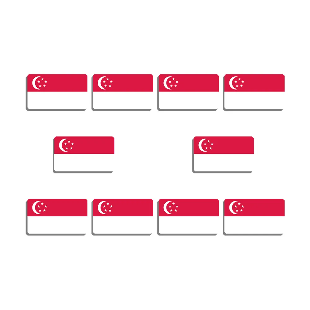 10 pezzi spilla Singapore bella bandiera spilla donne e uomini accessori riunioni distintivo patriottismo acrilico