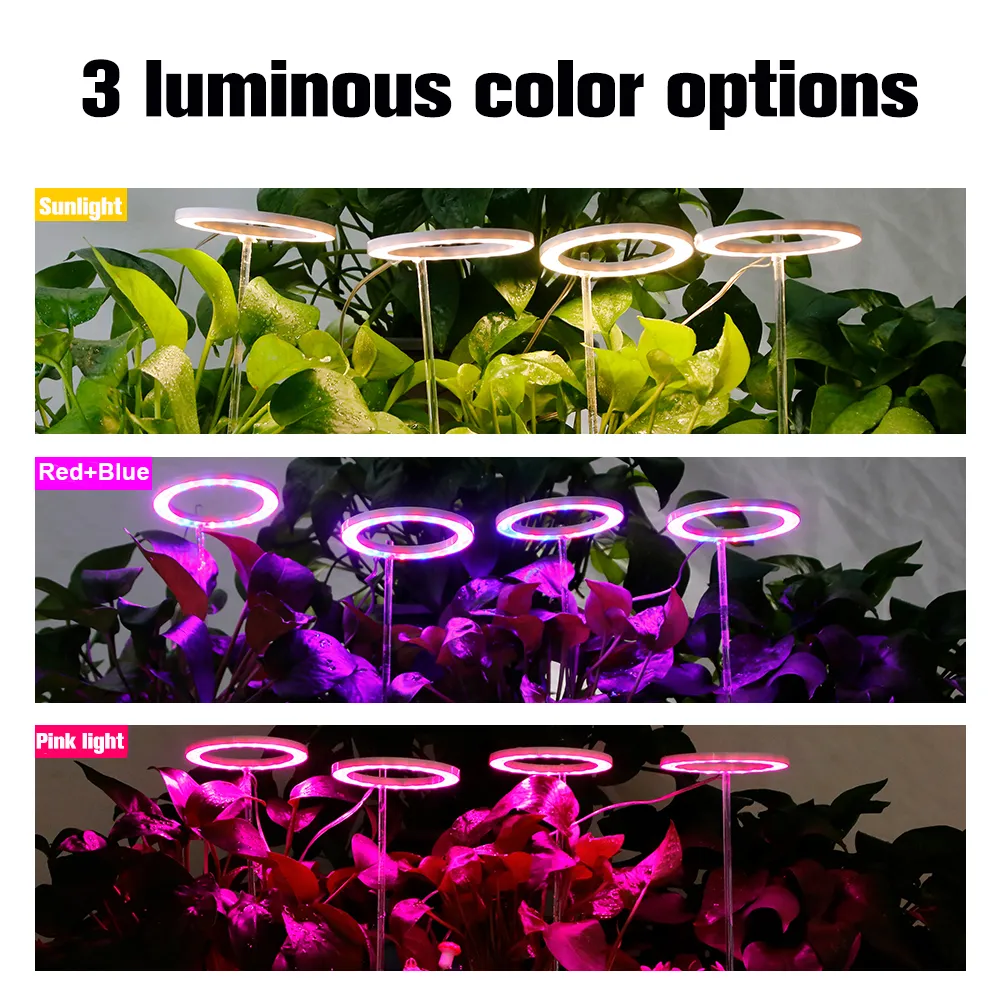 4 anéis de anjo LED Grow Light Full Spectrum Plant Lamp for Indoor Sogling Succulents e Bloom Light Rink Rosa azul197T