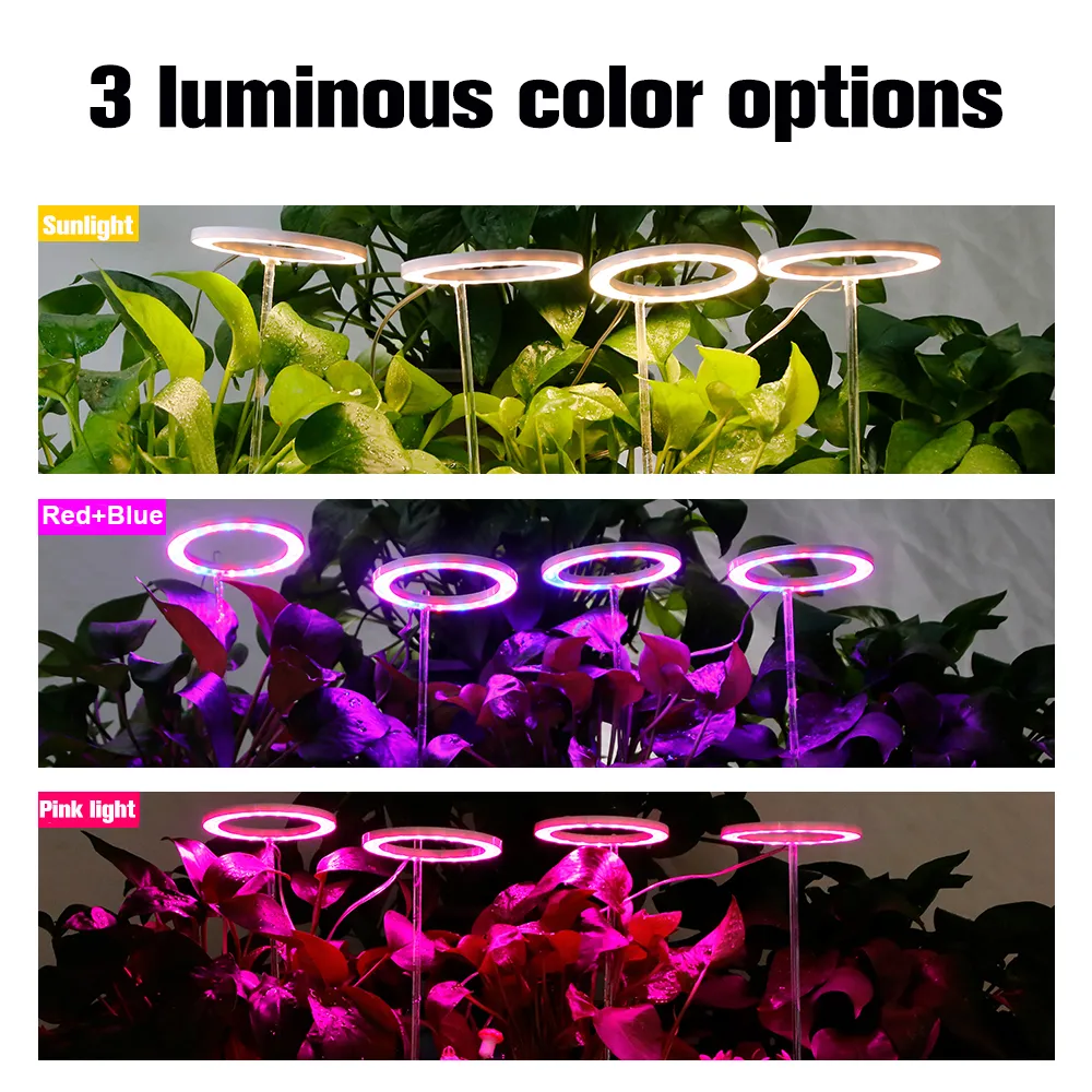 4つのエンジェルリングLED屋内苗の多肉植物とブルームサンライトピンクレッドブルー197Sのためのライトフルスペクトル植物ランプ成長