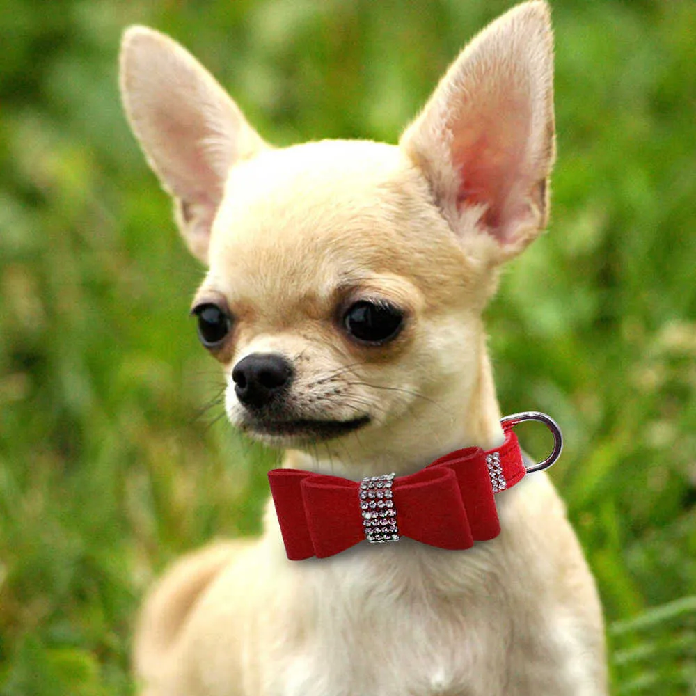 Bling Bowknot Suede Leather Dog Collar i Smycz Zestaw Pet Puppy Cat Chihuahua Obroże dla małych średnich kotów Różowy 210729