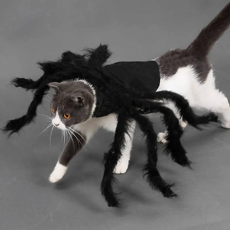 Chat Chien Halloween Araignée Pet Dress Up Spider Wing Vêtements pour Chiots Chats Halloween Pet Chat Chien Costumes Mignon Robe CCYYF33 211007