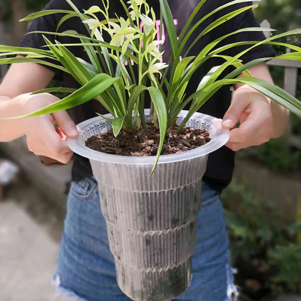 Meshpot – Pot à orchidées à Double paroi, excellent trou de Drainage, avec fente de contrôle des racines, jardinière de fleurs en plastique 2104014361209