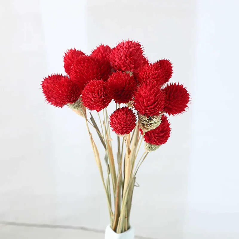 작은 딸기 과일 잔디 자연 마른 꽃 DIY 수제 수공예품 인공 꽃 홈 장식 사진 소품 Y0630