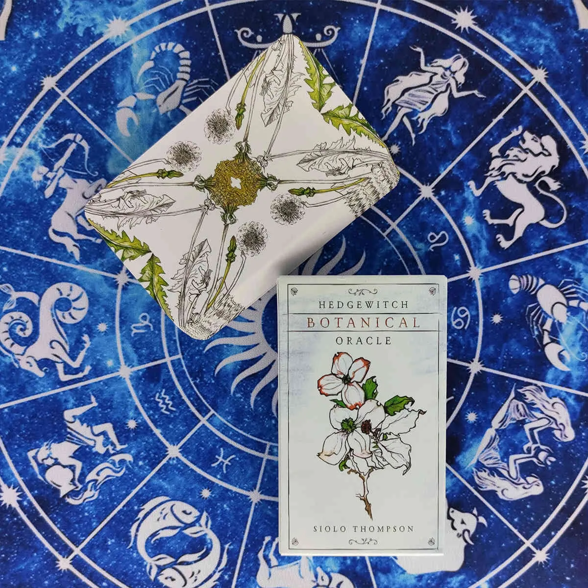 Nuevas tarjetas de oráculo botánico Hedgewitch y guía en PDF, cubierta de Tarot de adivinación, juego de mesa para fiestas de entretenimiento, 40 unids/caja