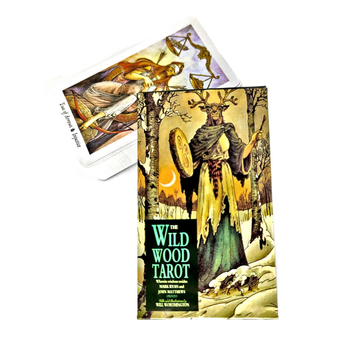 The Wild Wood Tarocchi Carte Guida Mistica Divinazione Intrattenimento Feste Gioco da tavolo Supporta il commercio all'ingrosso 78 fogli/scatola