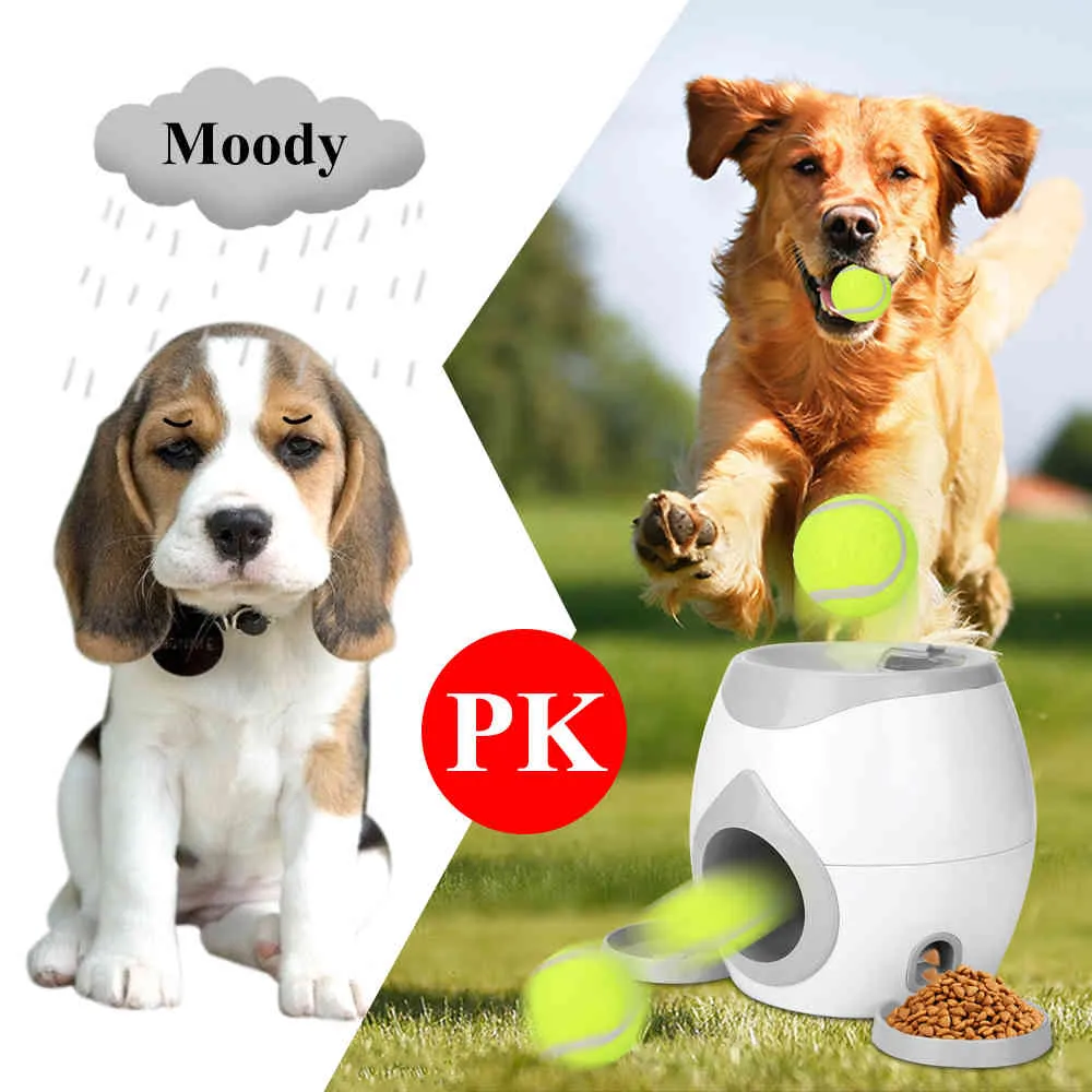 Lanceur de balle pour animaux de compagnie chien Tennis nourriture récompense Machine lanceur traitement interactif alimentation lente jouet adapté aux chats et aux chiens Y11255389831