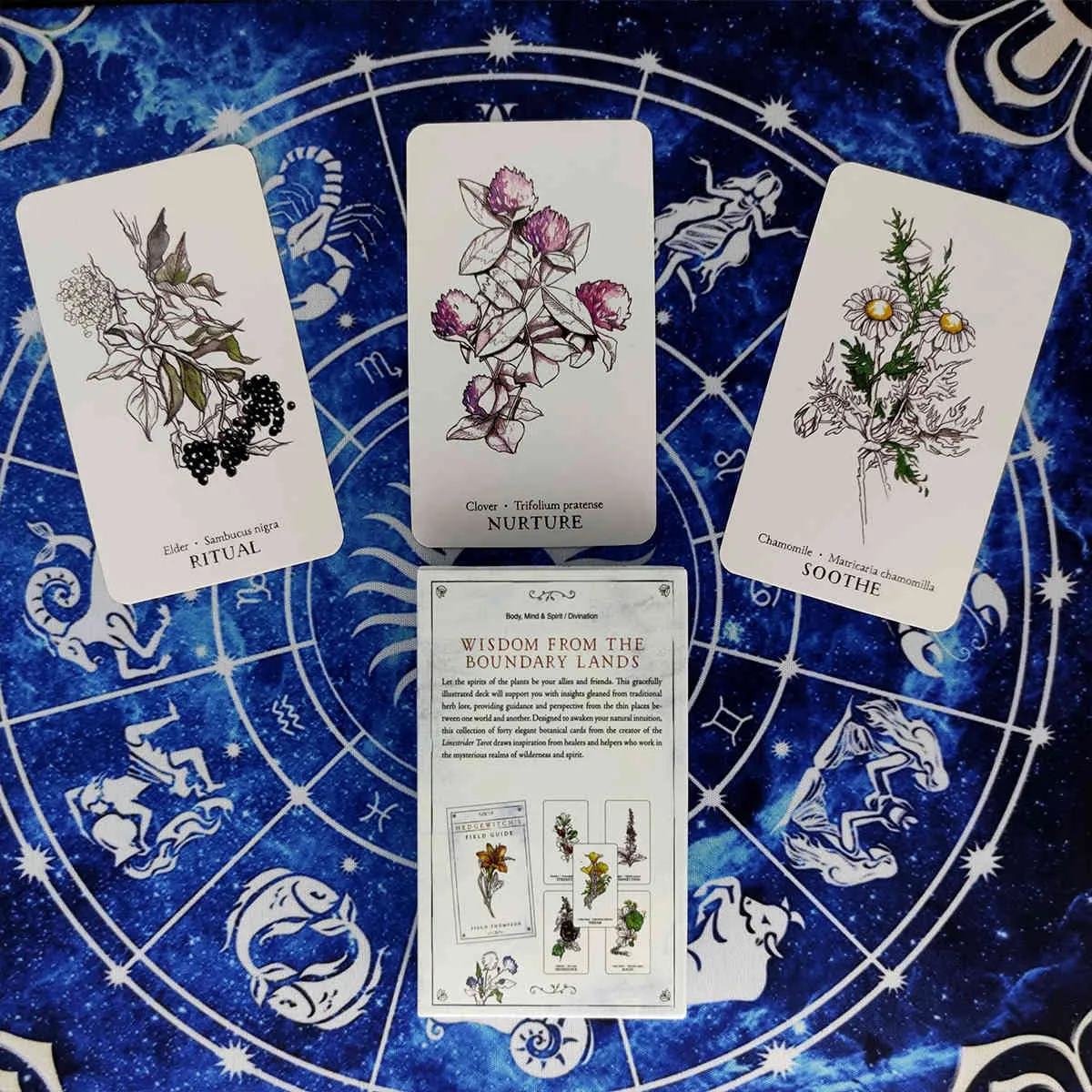 New Hedgewitch Botanical Oracle Cards And PDF Guidance Divination Tarot Deck Entertainment Parties Gioco da tavolo 40 Pz / scatola