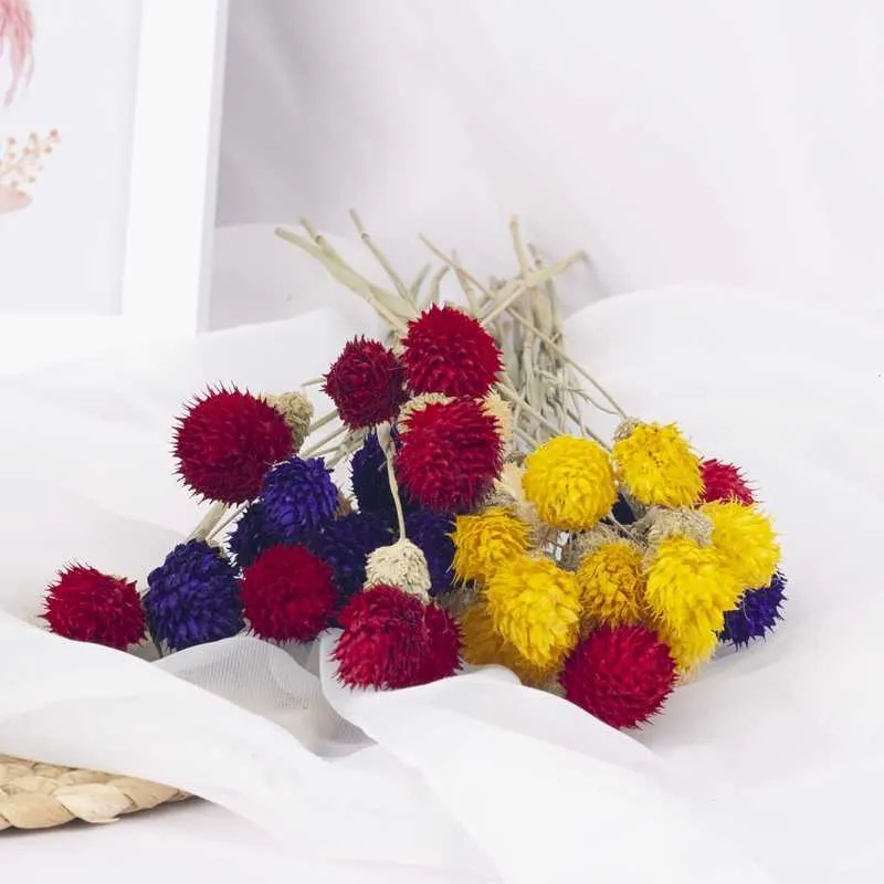 Mała truskawka owocowa trawa naturalne suche kwiaty DIY handmade rękodzieło sztuczne kwiat dekoracji domu rekwizyty Y0630