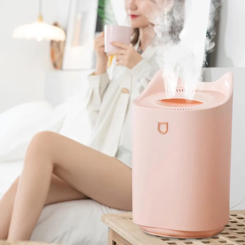 3L Air Humidifier Essential Oil Aroma Double Nozzle With Coloful LED Light Ultrasonic Humidifiers Aromatherapy Diffuser